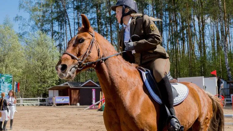 Чемпионат по конкуру пройдет в Красногорске 2 и 3 октября