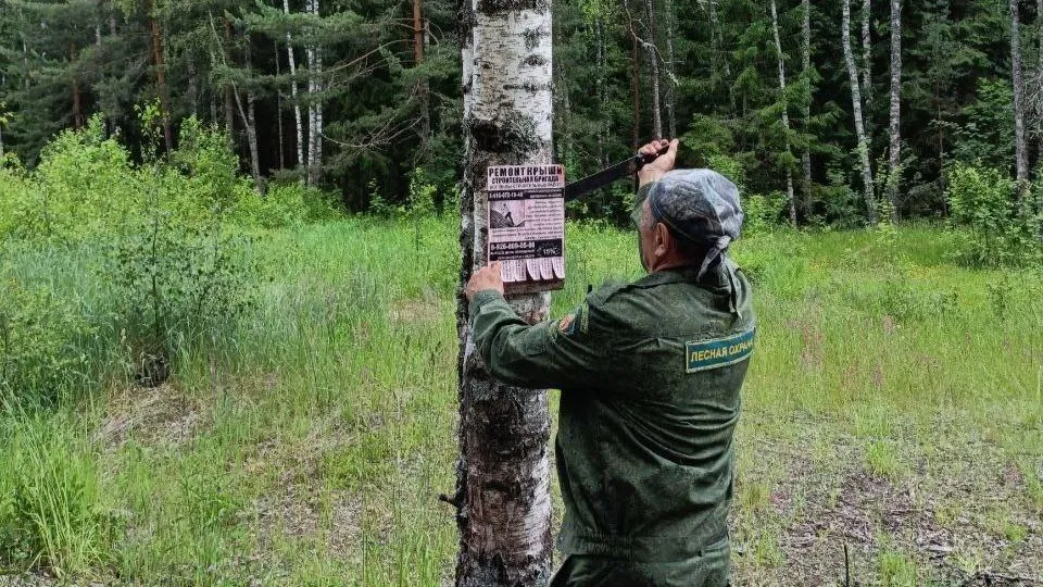 На территории Орехово-Зуева демонтировали 647 незаконных рекламных табличек