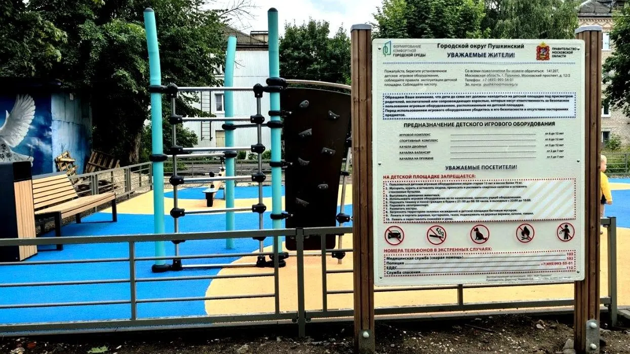 В Пушкинском округе с начала года провели 13 выездных администраций