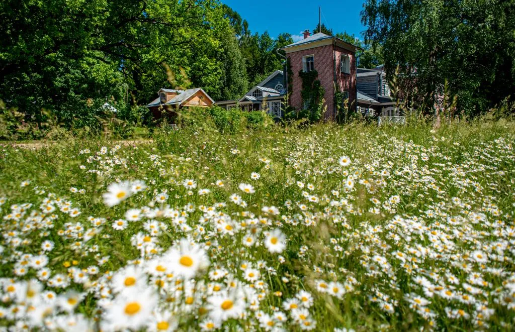 Мария Шуревская