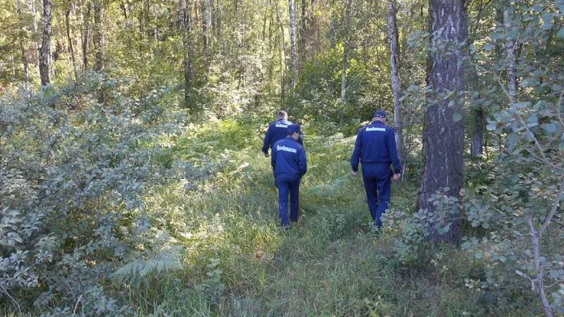 Более 1 тыс человек заблудились в лесах Подмосковья в июле