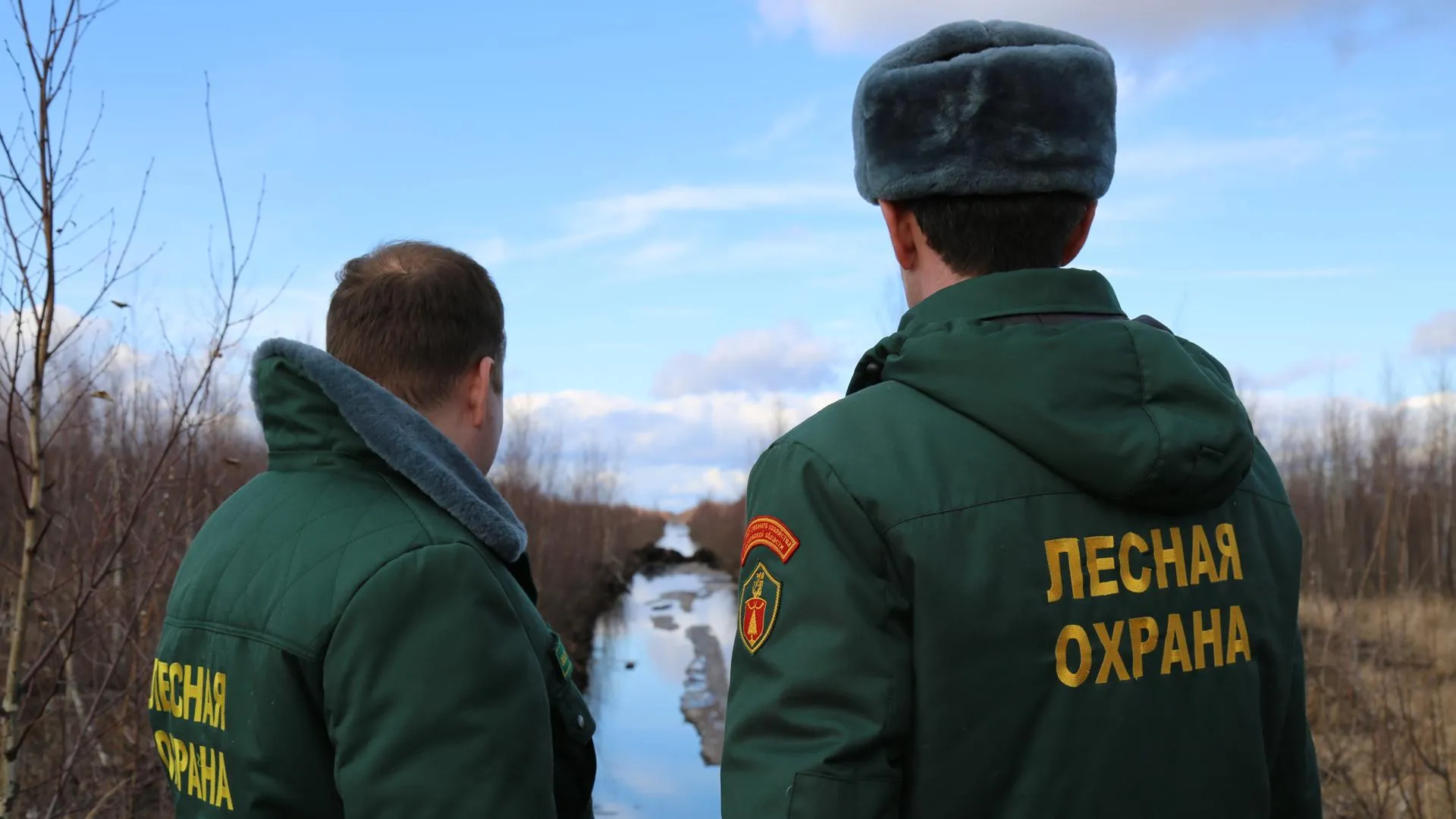 В Луховицах проводят обводнение торфяников