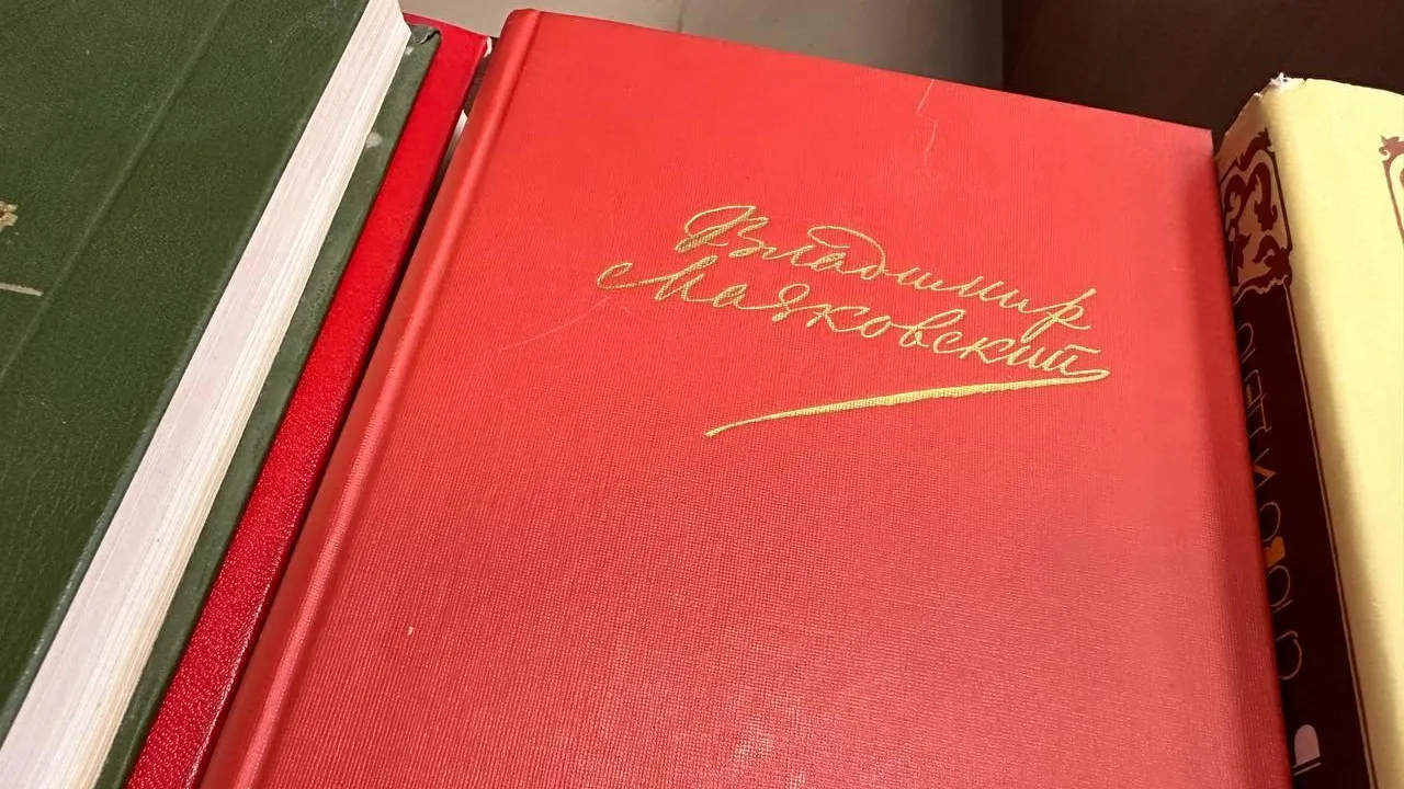 Жители Одинцовского округа продолжают собирать книги для жителей Донбасса