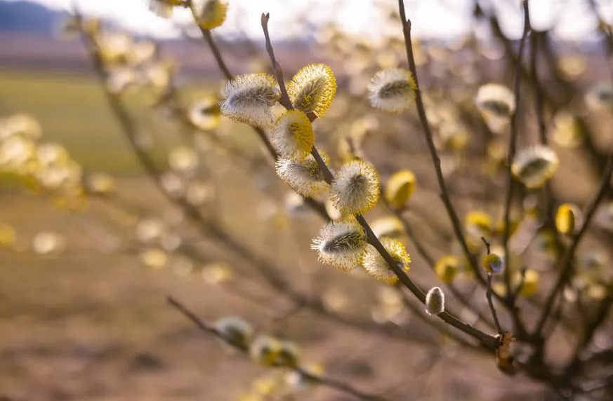 Нарбут Виктория / Фотобанк Лори