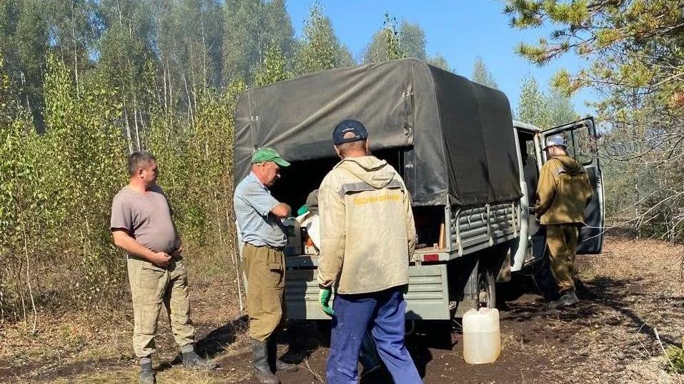 В Клину потушили торфяной пожар