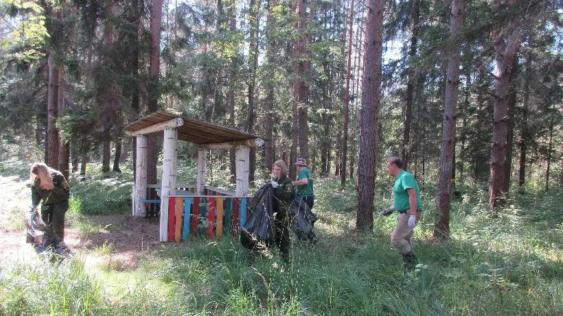 В выходные на лесные субботники в Подмосковье вышли около 300 человек