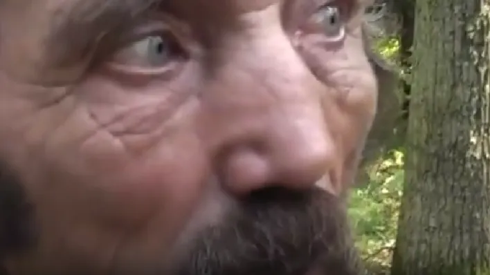 скриншот