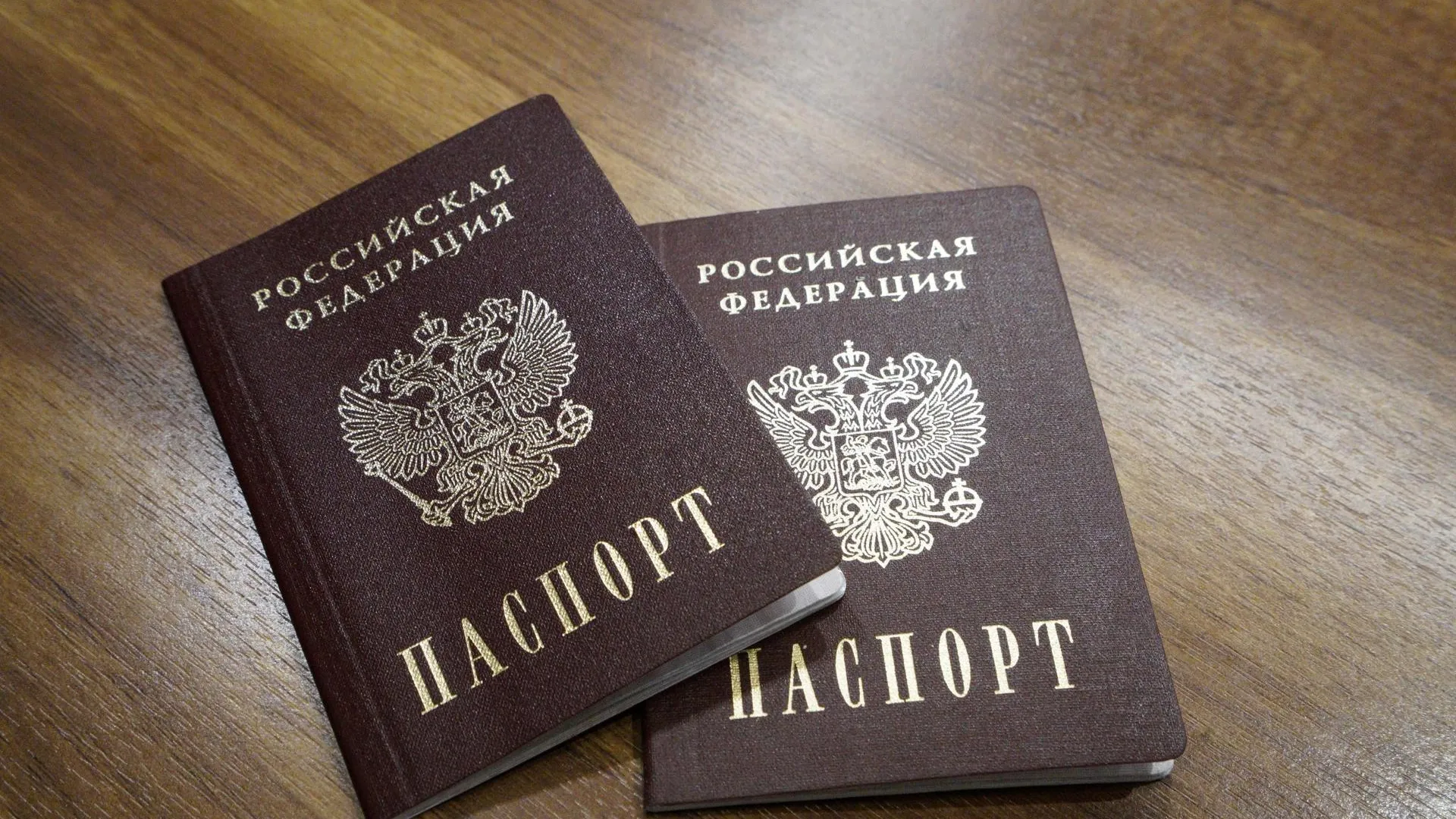 Беженцам из ЛДНР помогут в оформлении гражданства  в Подмосковье