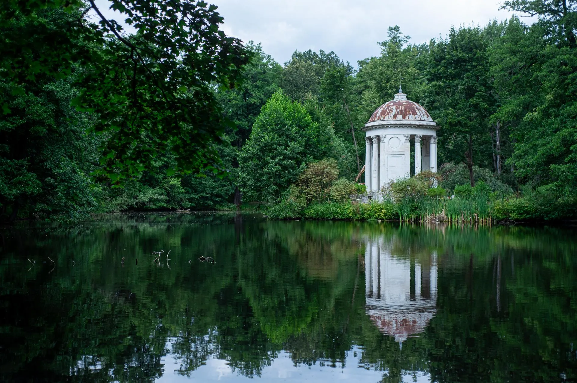 Мария Шуревская