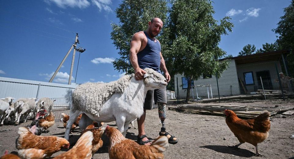 В Можайском округе ветеран СВО получил грант на ведение агробизнеса