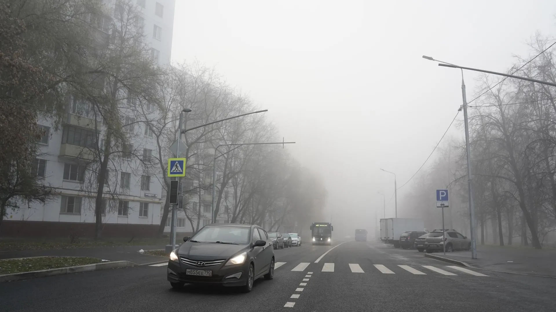 Водителей Подмосковья призвали к внимательности на дорогах из‑за тумана