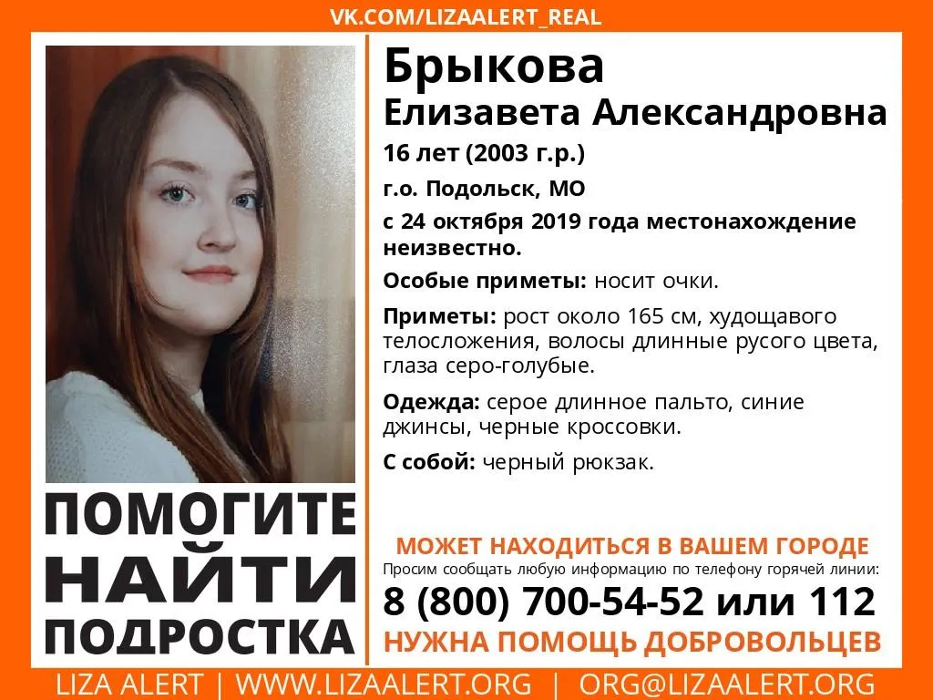 страница «Инфорг Лизаалерт» в социальной сети «ВКонтакте»