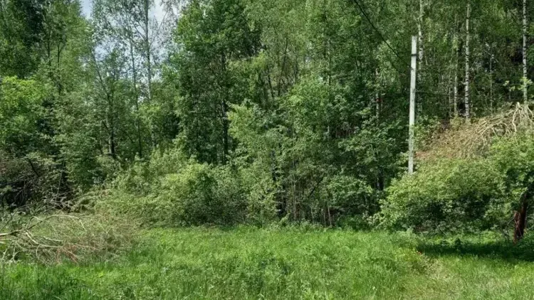 Стал известен топ-3 округа Подмосковья по объектам на торгах за неделю