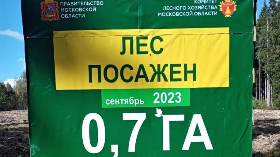 Вблизи деревни Хлябово округа Мытищи провели компенсационное лесовосстановление