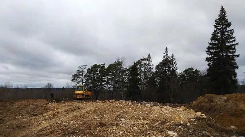 Компания‑нарушитель в Люберцах компенсирует ущерб экологии на сумму почти 50 млн рублей