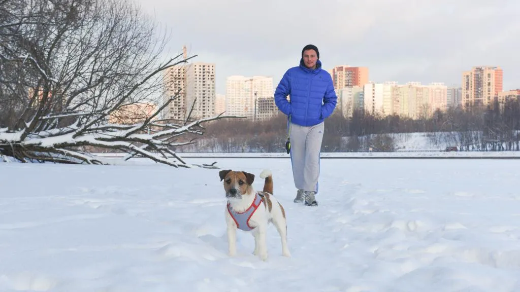 Общественные места для прогулок планируют создавать в каждом городе Подмосковья