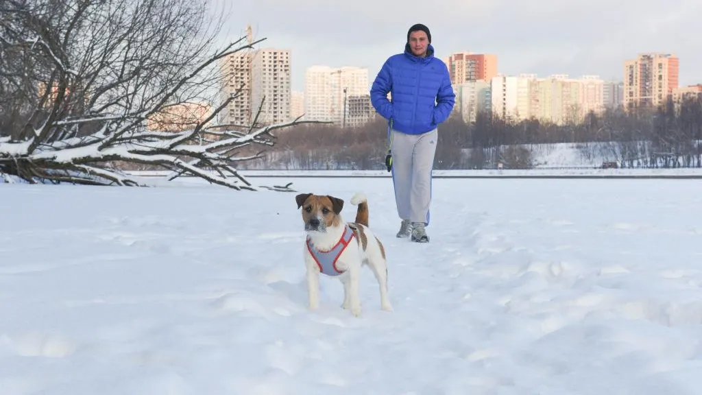В парках Подмосковья началась подготовка к зимнему сезону