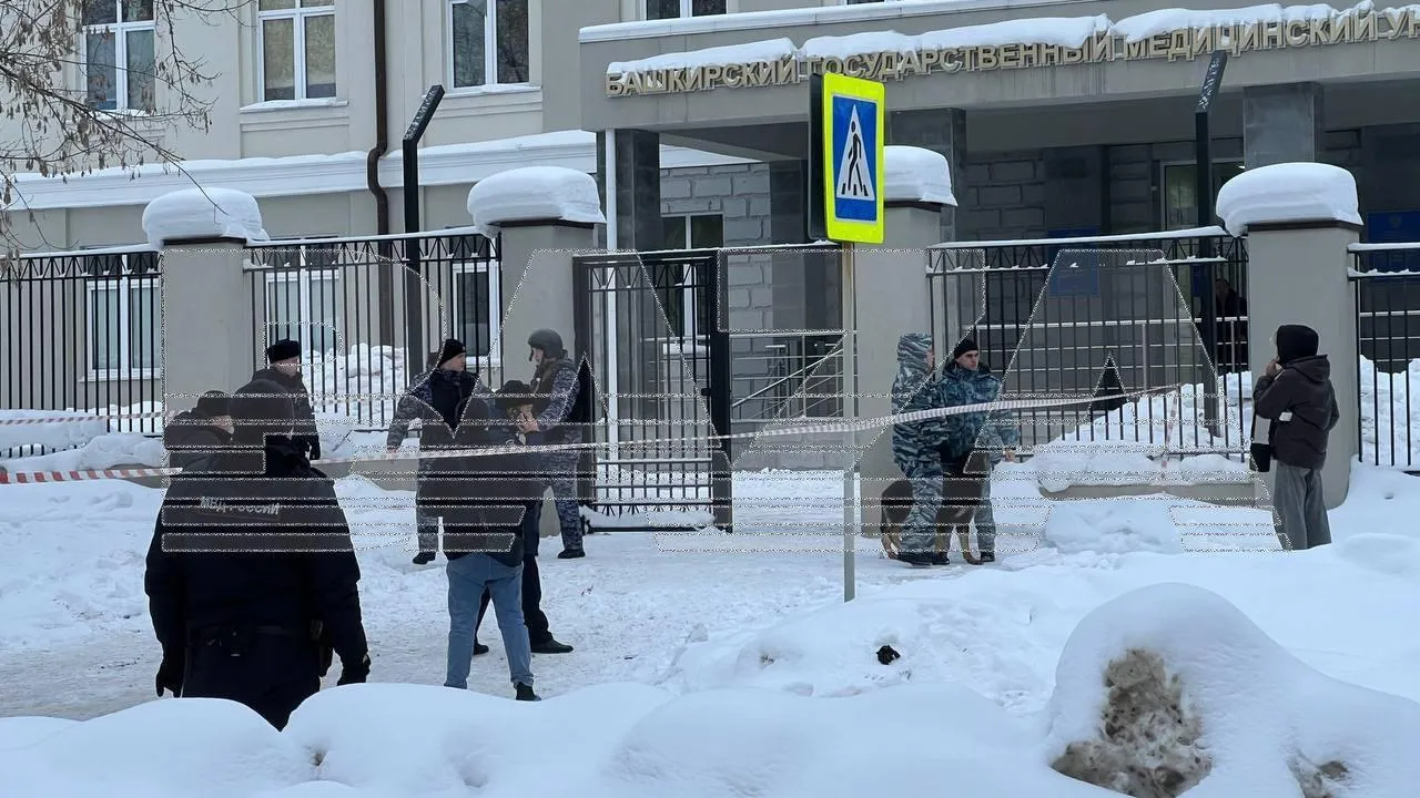 Телеграм-канал Baza