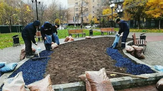 Почти 200 тыс тюльпанов высадили в Люберцах