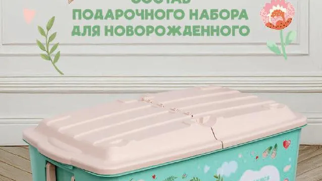 Более 3 тыс подарочных наборов «Я родился в Подмосковье!» выдали в 2024году