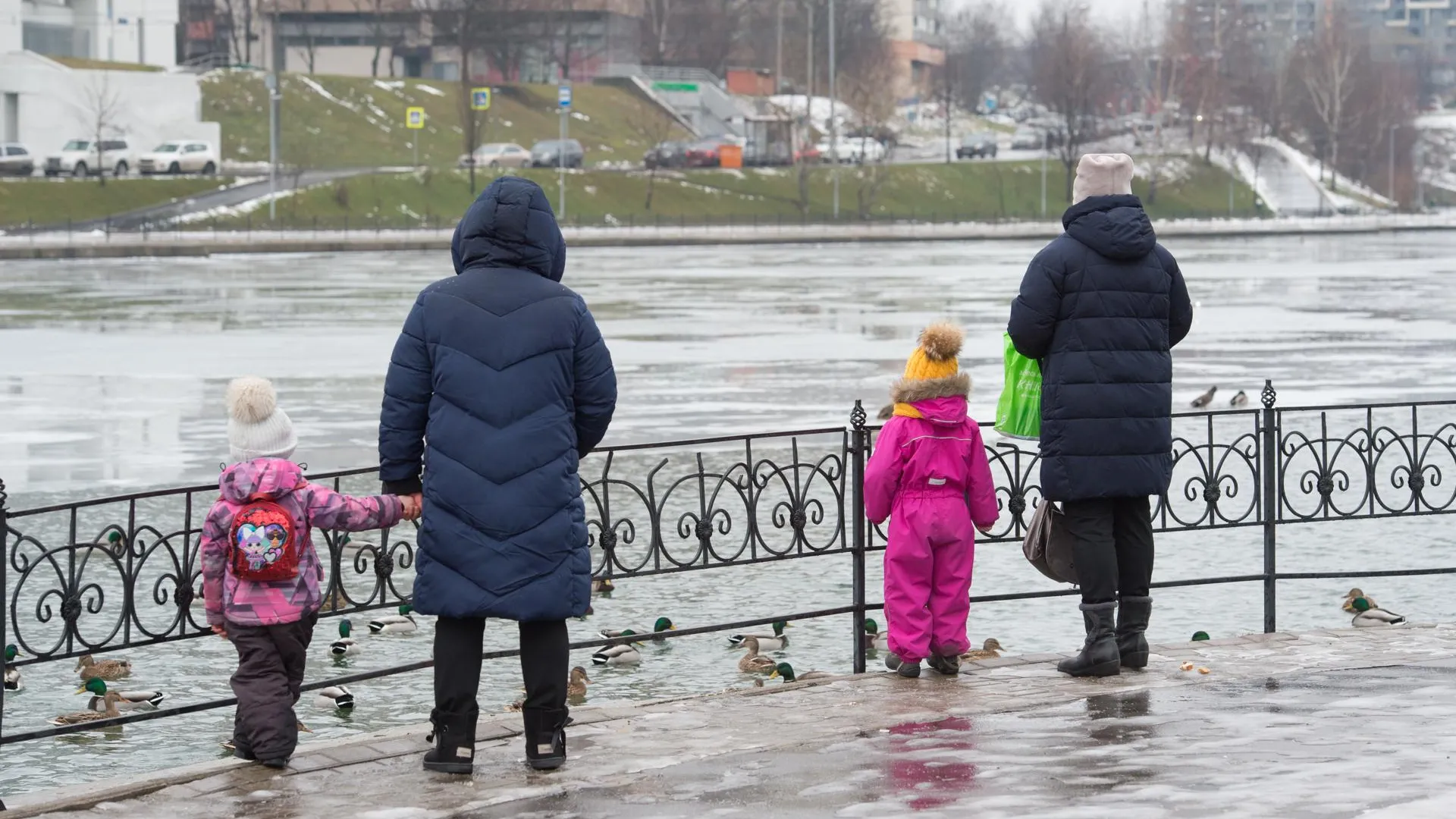 Водоплавающих птиц пересчитают в Москве 18 и 19 января