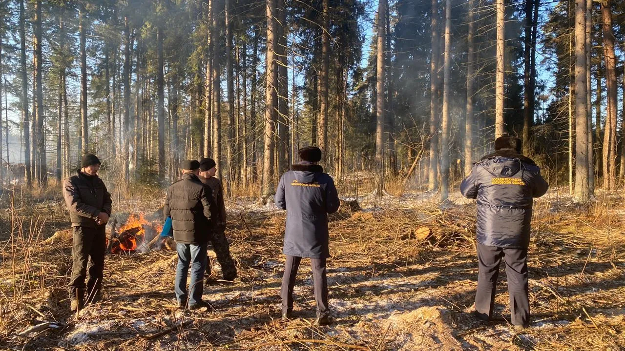 В Красногорске оштрафуют нарушителя закона об охране окружающей среды