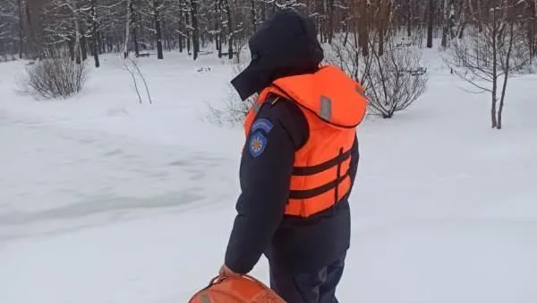 Жителям Балашихи и Ногинска напомнили о правилах поведения на неокрепшем льду