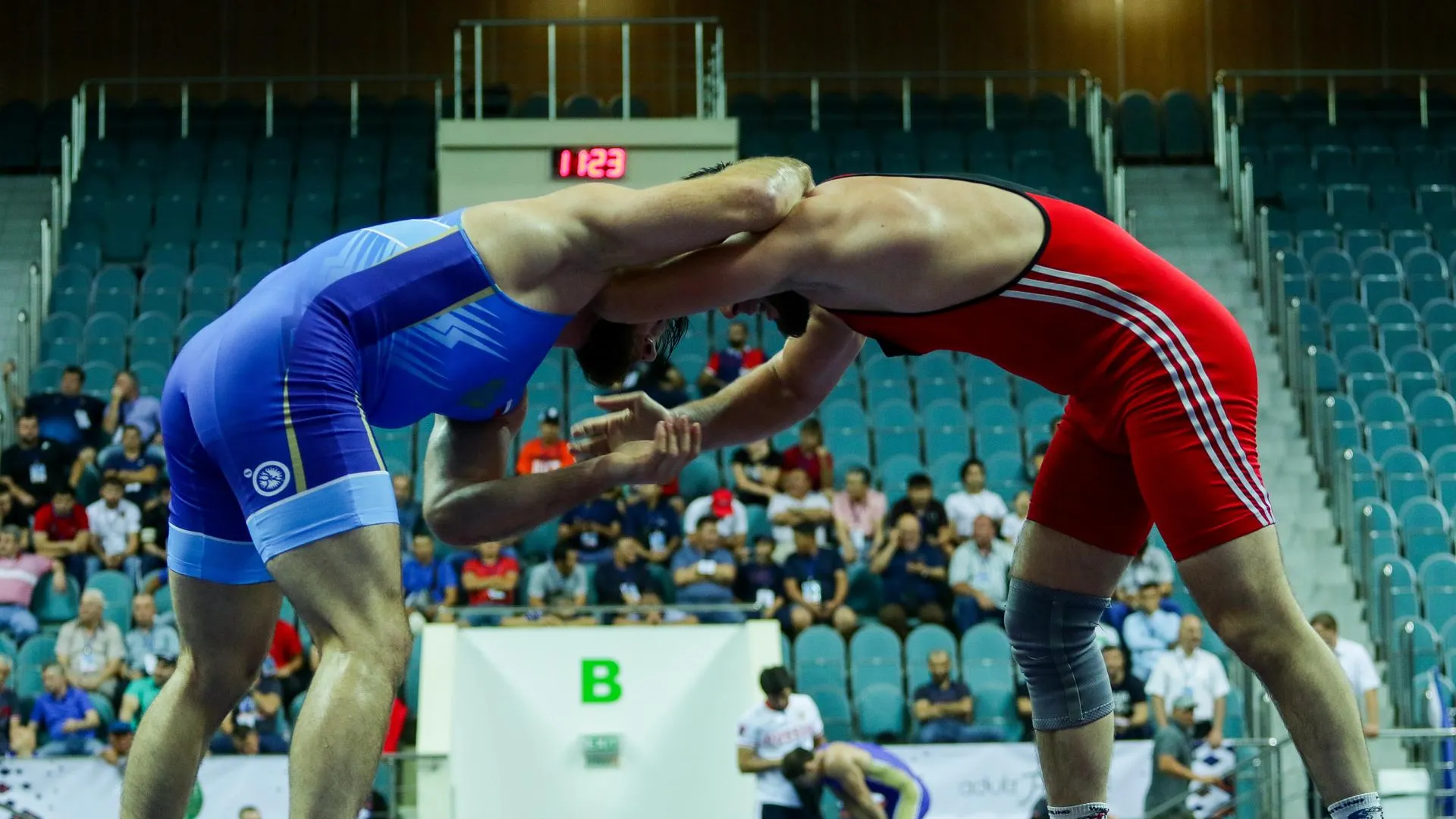Борцы из Подмосковья выиграли 6 медалей на чемпионате России по вольной борьбе в Одинцове