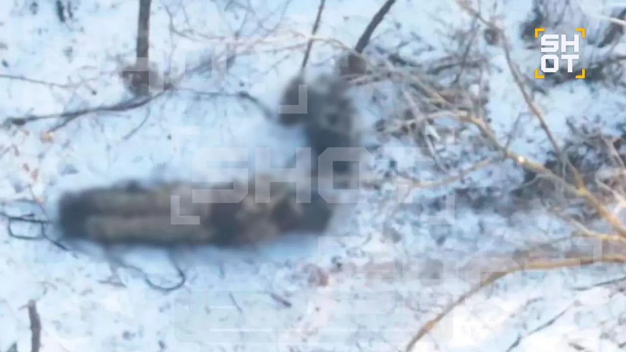 Замороженные трупы: около 100 украинцев замерзли насмерть в окопах у Купянска