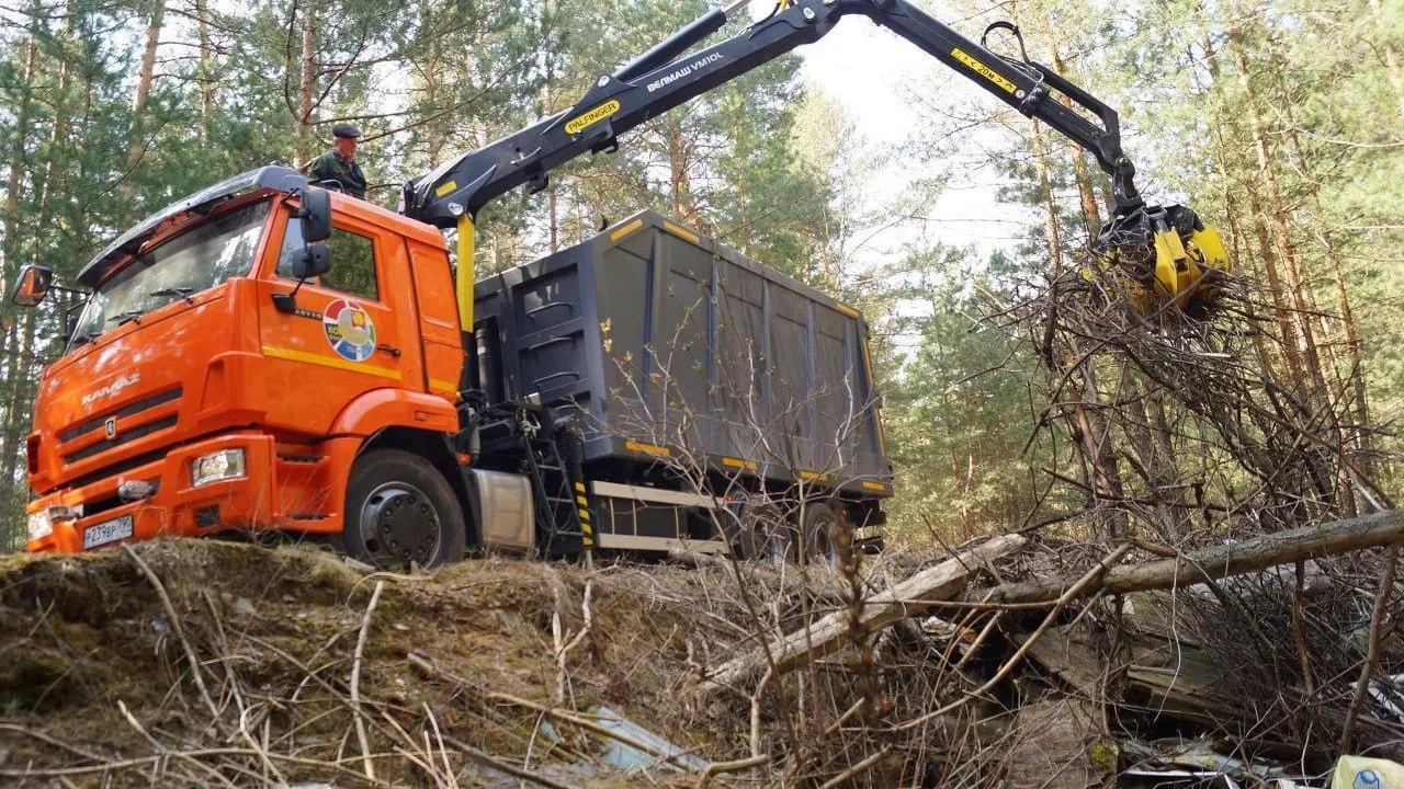 Более 5,5 тыс куб мусора убрали лесах Подмосковья с начала года