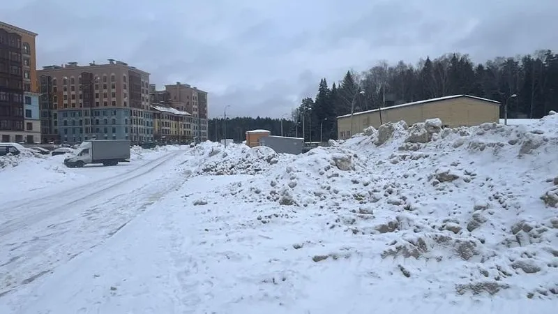 Минэкологии предостерегло коммунальщиков Красногорска от незаконного размещения снега