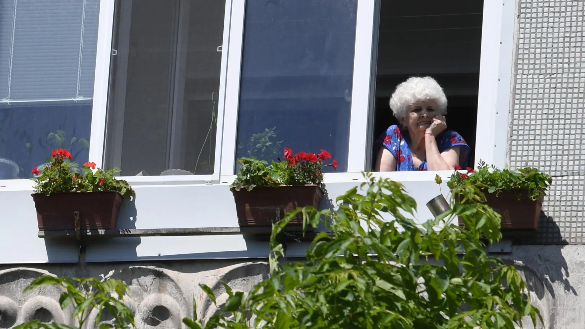 Жителям Московского региона старше 65 лет рекомендовали оставаться дома с понедельника