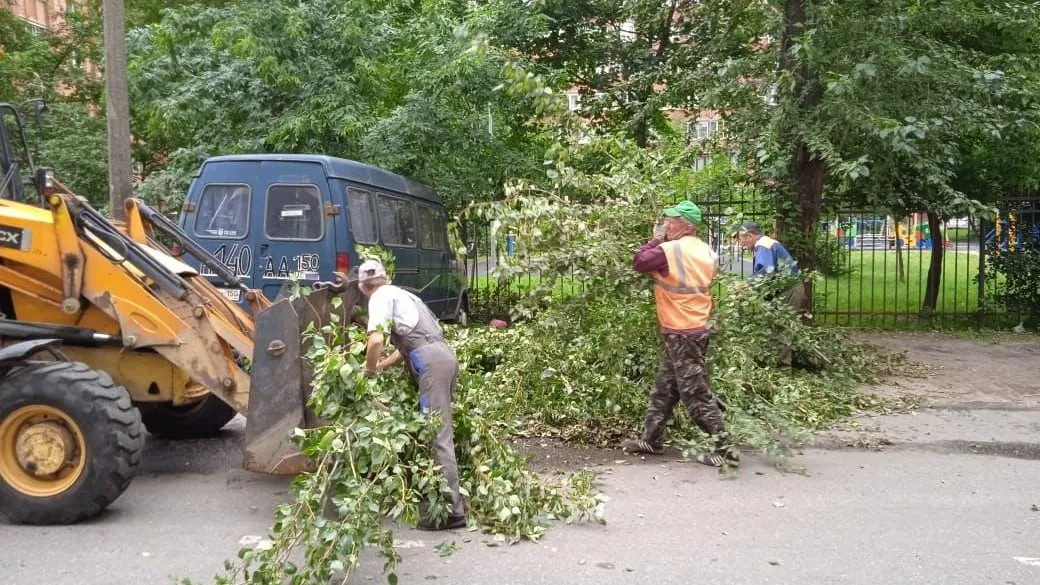 9 деревьев убрали после ураганов в Люберцах за неделю