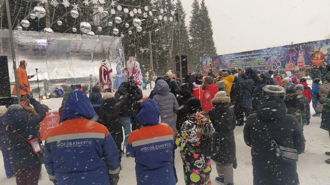 Жителям Подмосковья напомнили об опасности зимних развлечений в охранной зоне ЛЭП