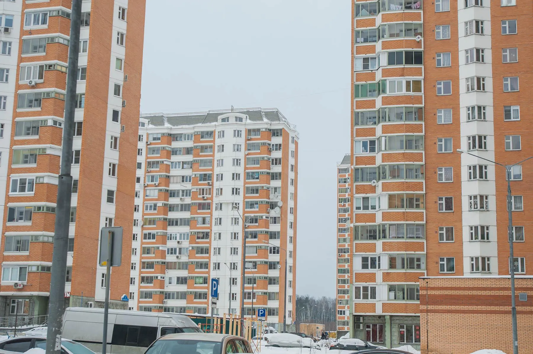 Наталья Николаева