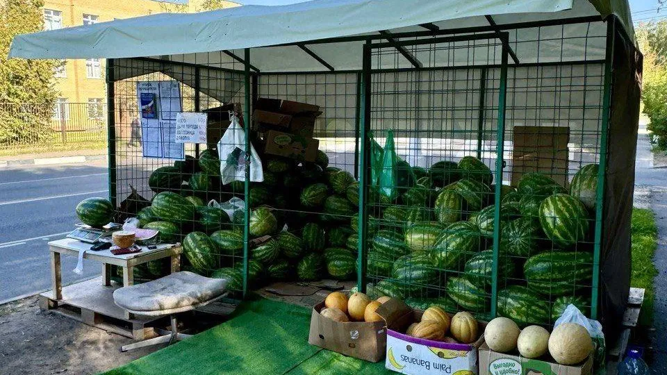 Бахчевые развалы доступны для жителей Красногорска