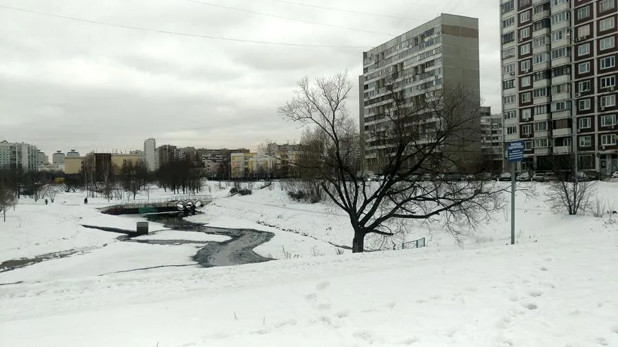 Наталья Козельская