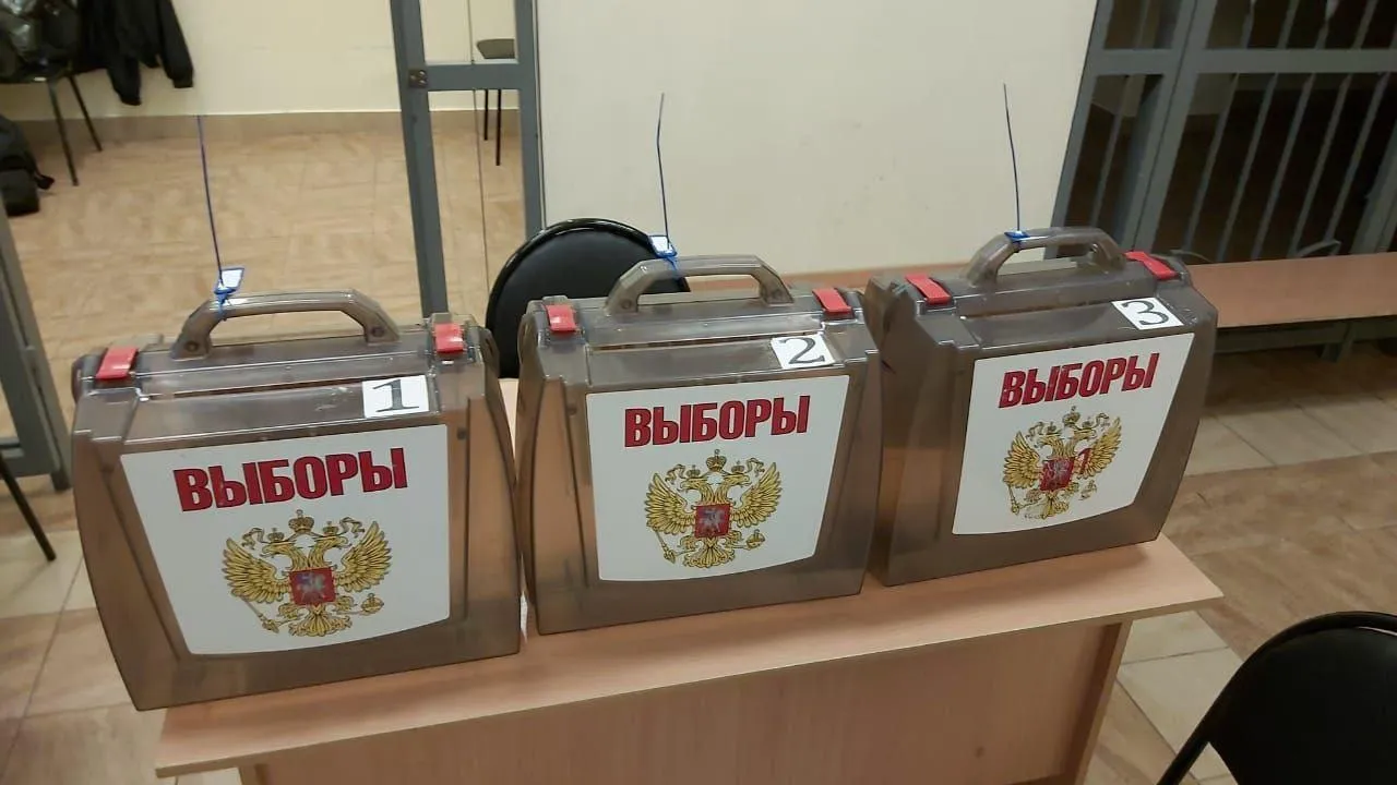 Почти 47% голосов набрал кандидат‑победитель на выборах в Красногорске