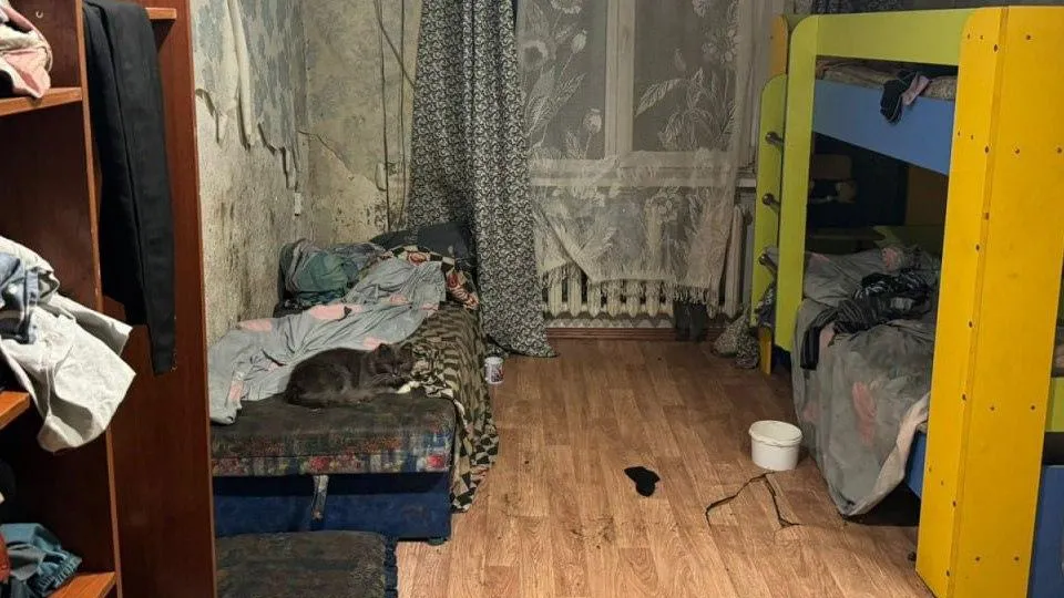 Мертвого котенка нашли возле дома отравившейся семьи под Красноярском