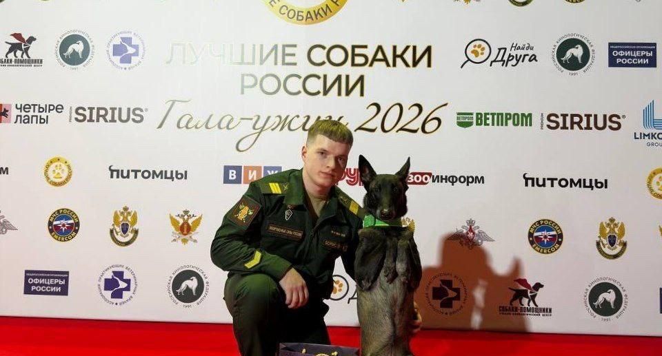 Серпуховский кинолог и его собака победили во всероссийском конкурсе