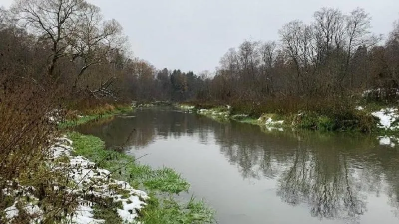 Земли вблизи водохранилища в Домодедове изымут из незаконного владения