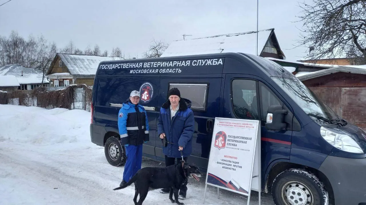 В Подмосковье организуют более 5 тыс пунктов вакцинации против бешенства животных