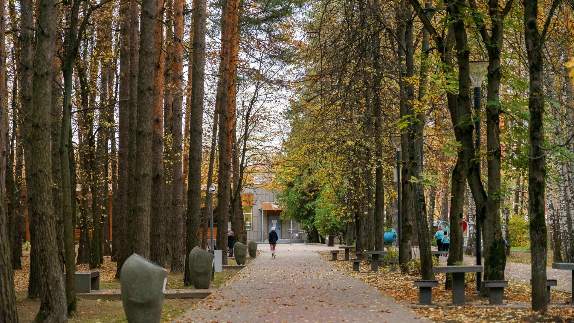 В Подольске объявлен конкурс на благоустройство лесопарковой зоны