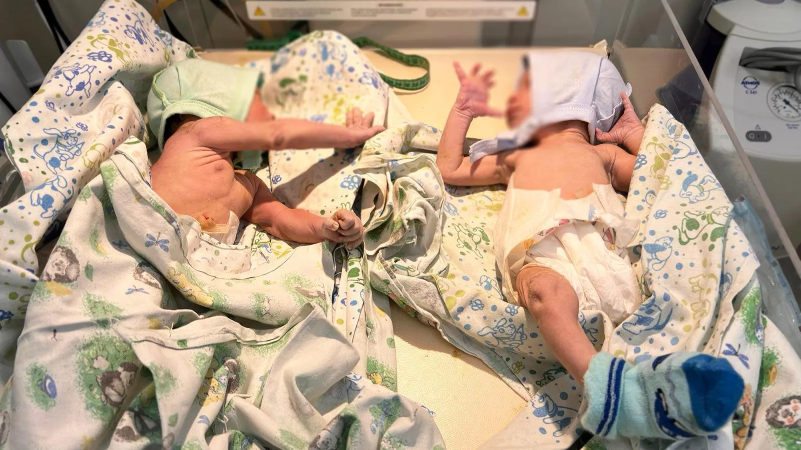 В роддоме Сергиева Посада родилось три двойни в январе