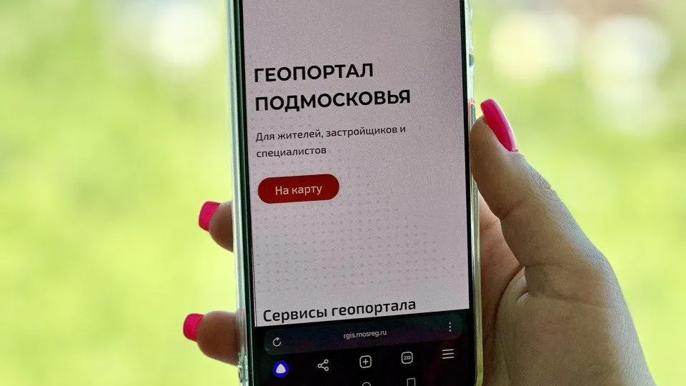 В Подмосковье рассказали, где узнать о мероприятиях, которые проходят в лесах