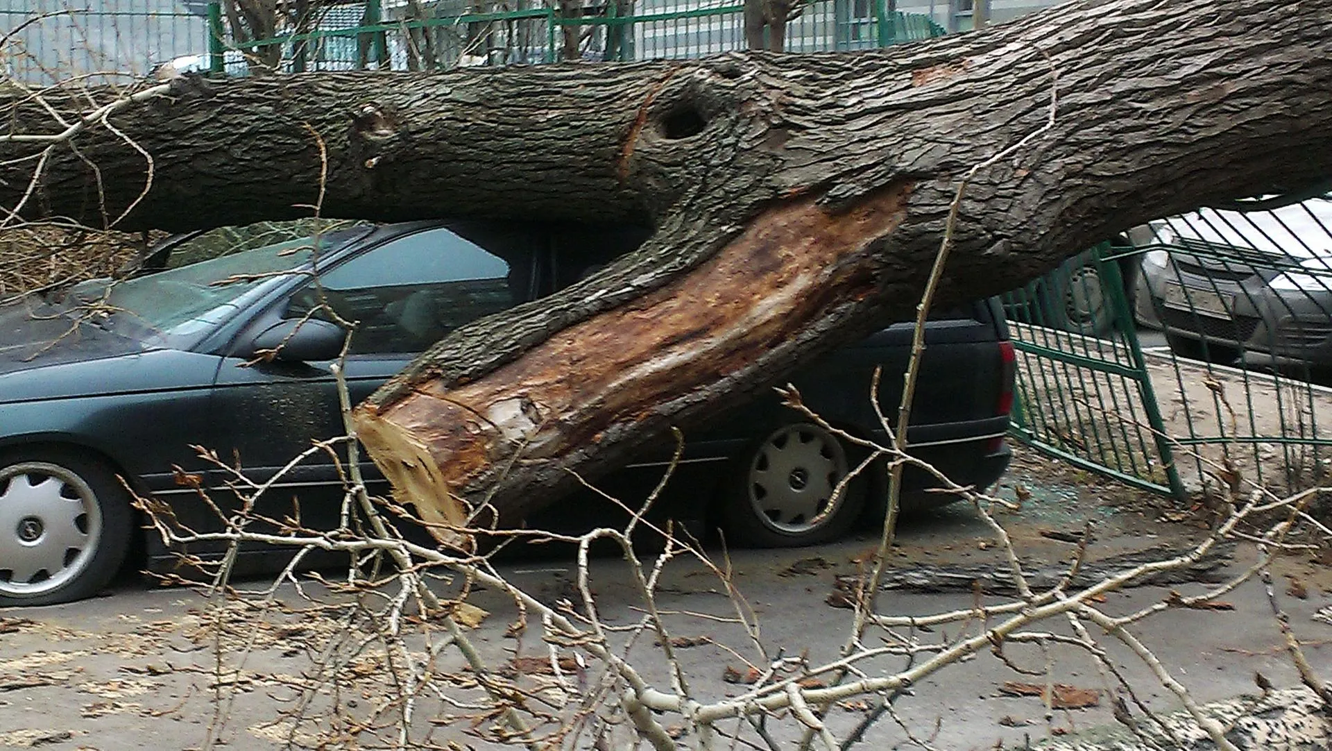 Александр Рацимор