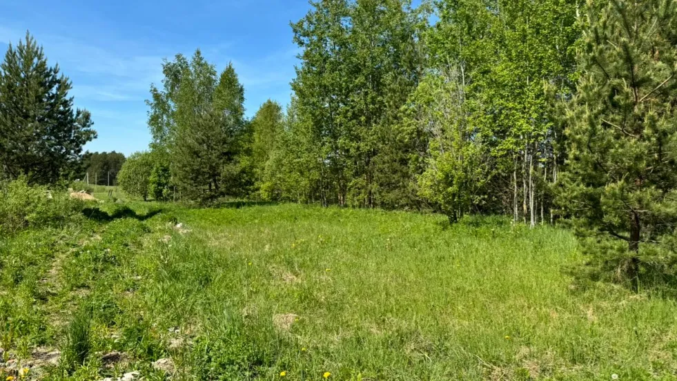 В Богородском округе на торгах зафиксировали рекордную стоимость лота