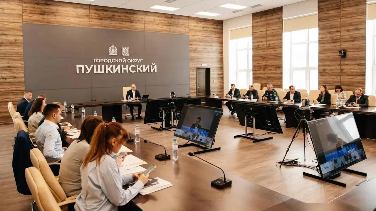 В Пушкинском округе модернизируют 22 контейнерные площадки