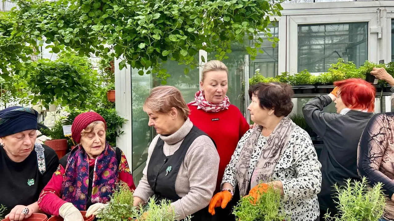 В Котельниках участницы «Активного долголетия» освоили пересадку пряных трав в «Тепличном комбинате»