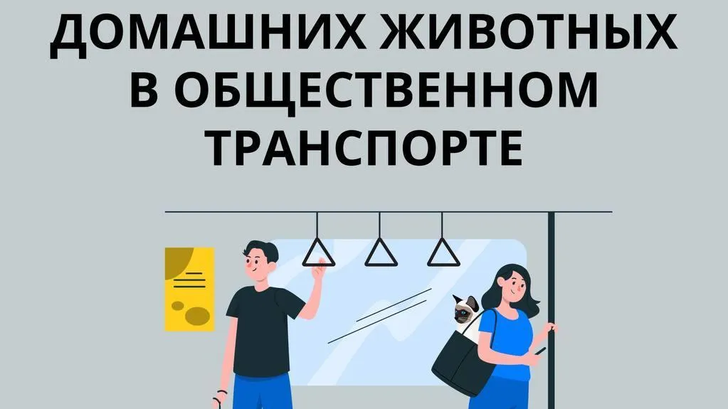 Пассажирам автобусов в Подмосковье напомнили правила перевозки домашних животных